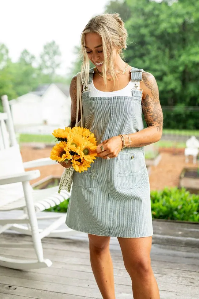 The Shelley Striped Overall Dress Holley Gabrielle X Pink Lily,Daily Outfit