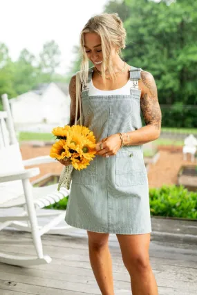 The Shelley Striped Overall Dress Holley Gabrielle X Pink Lily,Daily Outfit