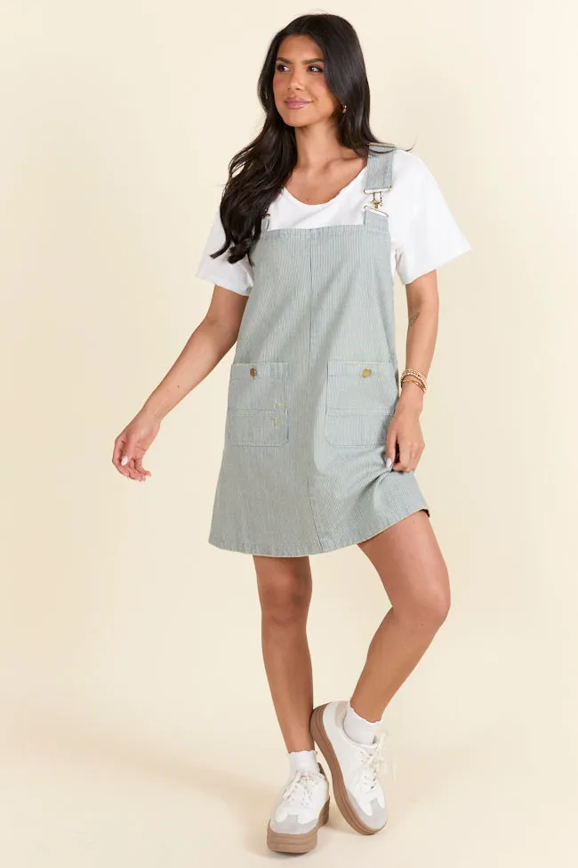 The Shelley Striped Overall Dress Holley Gabrielle X Pink Lily,Daily Outfit