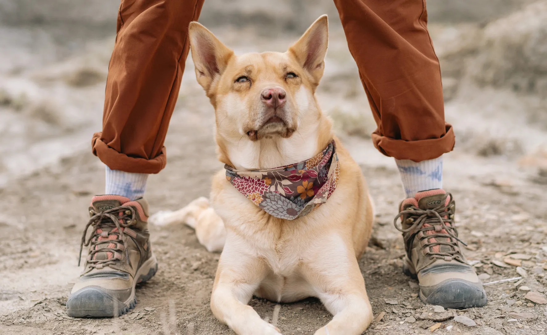 Women's Ridge Flex Waterproof Boot  |  Timberwolf/Brick Dust,Anti-Slip